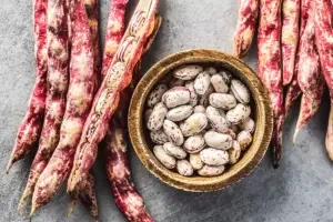 Borlotti beans used to make porotos granados