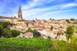 2023 Bordeaux St-Emilion vineyards