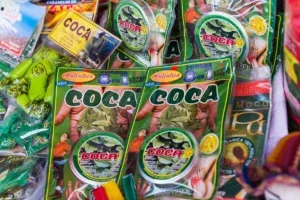 psychoactive coca leaves