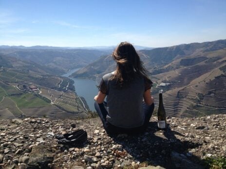 The New Douro