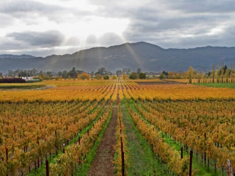 Acid Test: Acidity and Acidification in Napa Valley