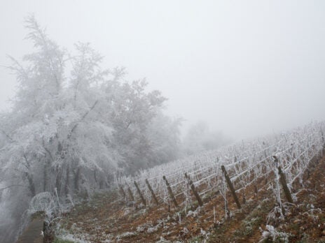 Corton Chronicles Three: Winter