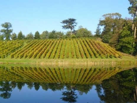 A Most Cursed Hill: Painshill and the Beginnings of English Wine