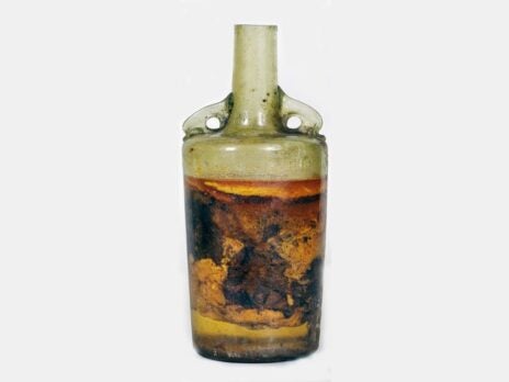 The Oldest Bottle of Wine in the World