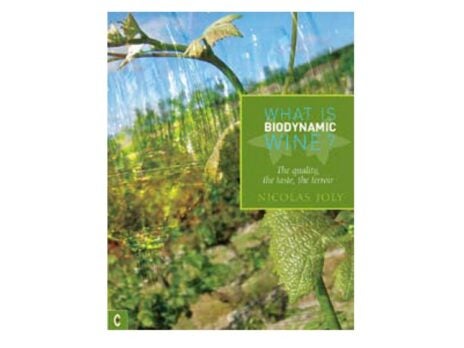 What Is Biodynamic Wine: The Quality, the Taste, the Terroir