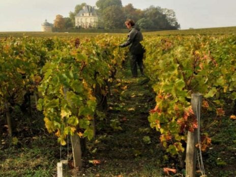 Bordeaux 2011 en primeur: No future for futures?