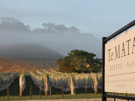 Te Mata Estate