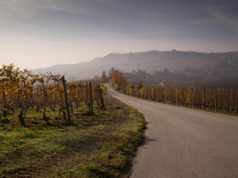 Discover the Growers Transforming Italian Winemaking