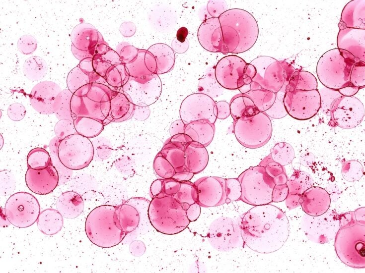What's changed in wine science?