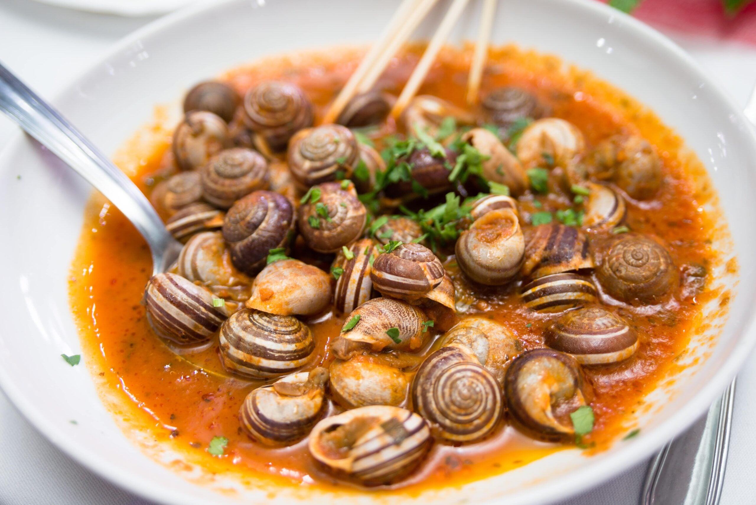 What Spanish Dish Some Time Includes Snails