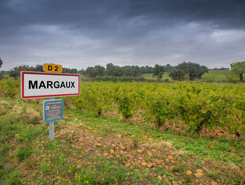 Bordeaux wine regions