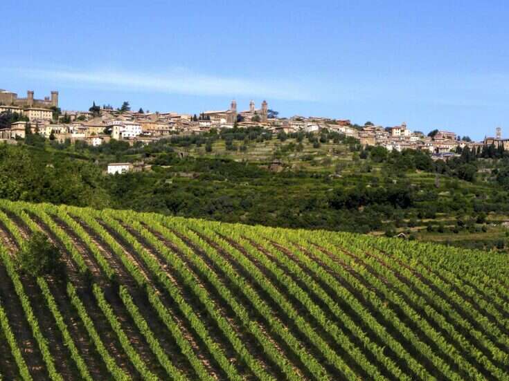 Consorzio del Vino Brunello di Montalcino: The interpreter of a record-breaking vineyard and wine