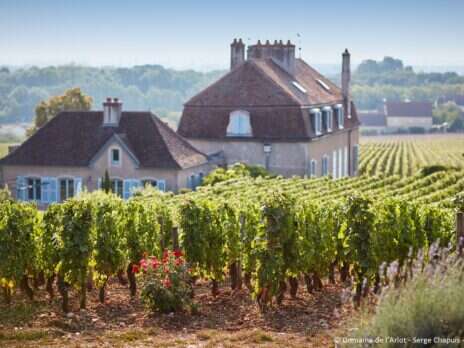 A letter from Burgundy: Domaine de l'Arlot