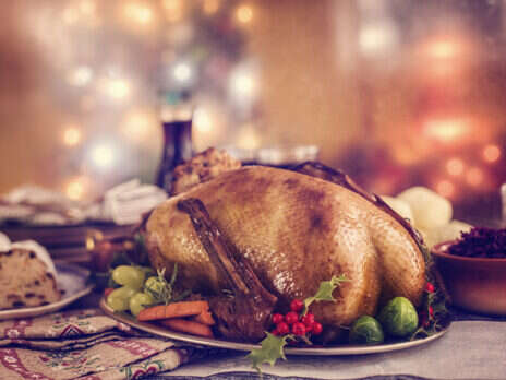 At the table: Christmas roast goose