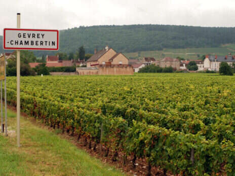 2023 Burgundy tasting notes: Côte de Nuits—Gevrey-Chambertin