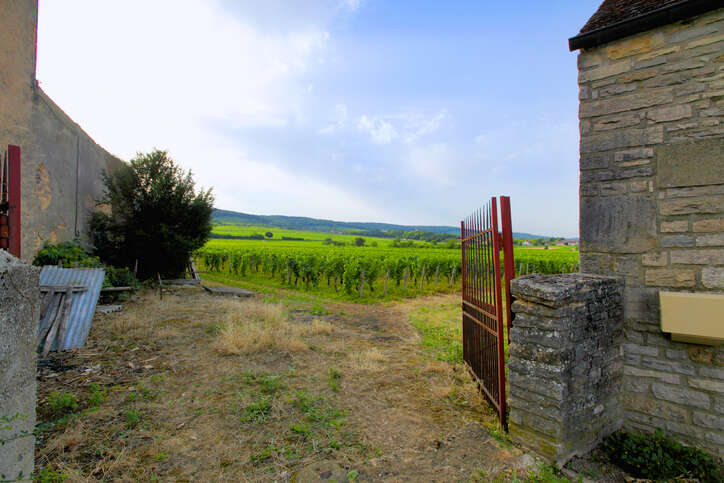 Gevrey-Chambertin vineyards viewed in a space between two stone buildings below a blue sky with white clouds