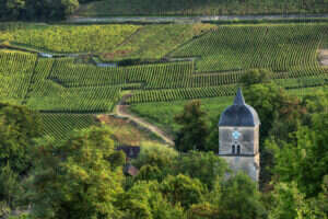 2022 Burgundy Chambolle-Musigny vineyards.