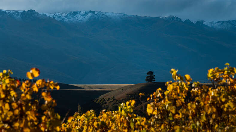 Central Otago