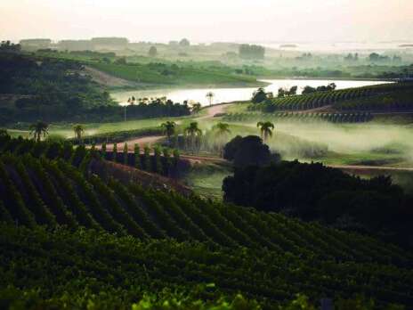 Uruguay: The little wine country that could
