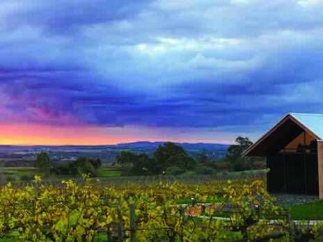 Grant Burge: The timeless story of a Barossa great