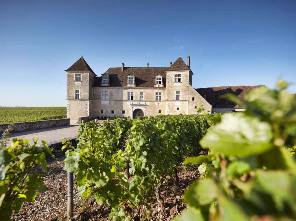 Clos de Vougeot