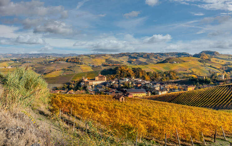 Barolo 2017: Weathering the storms