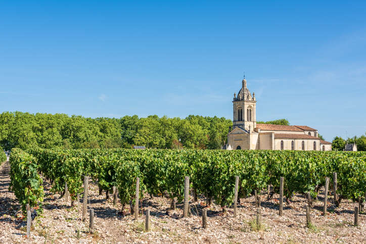 Bordeaux in the 21st century: 2015 vintage report