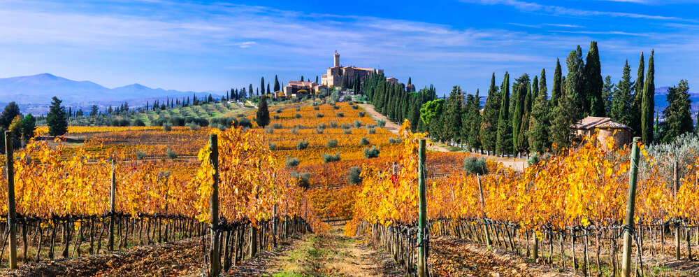 Italian wine|Italian wine|Italian wine|Italian wine||Italian wine|Italian wine|Italian wine|Italian wine|Italian wine