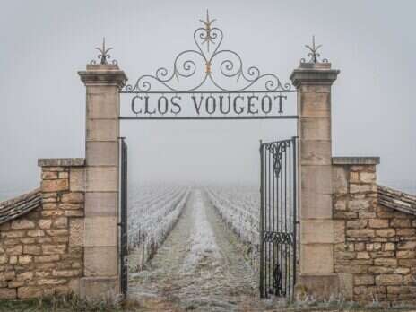 Château de la Tour 2018 Clos-Vougeot Vieilles Vignes: A pattern of restorative loveliness