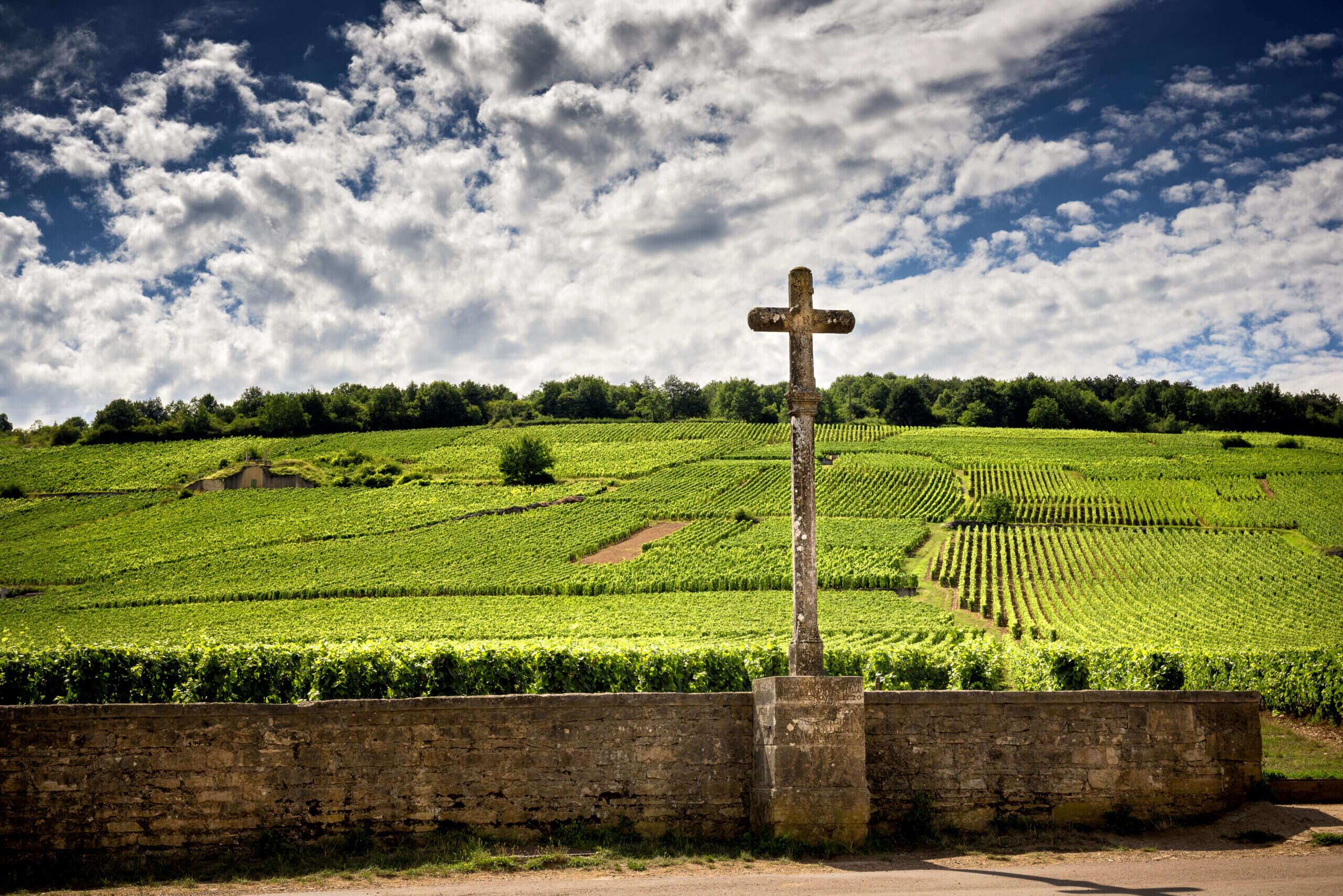 2023 Burgundy tasting notes: Côte de Nuits—Vosne-Romanée