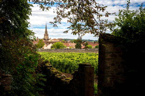 2022 Burgundy: Côte de Beaune tasting notes part II