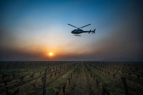 Helicopter in St-Emilion, Bordeaux, France circulating air to protect vineyard from frost – climate change [and] wine