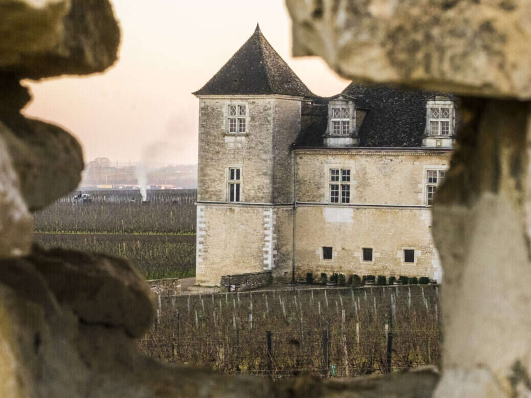 2021 Burgundy vintage: A challenging year