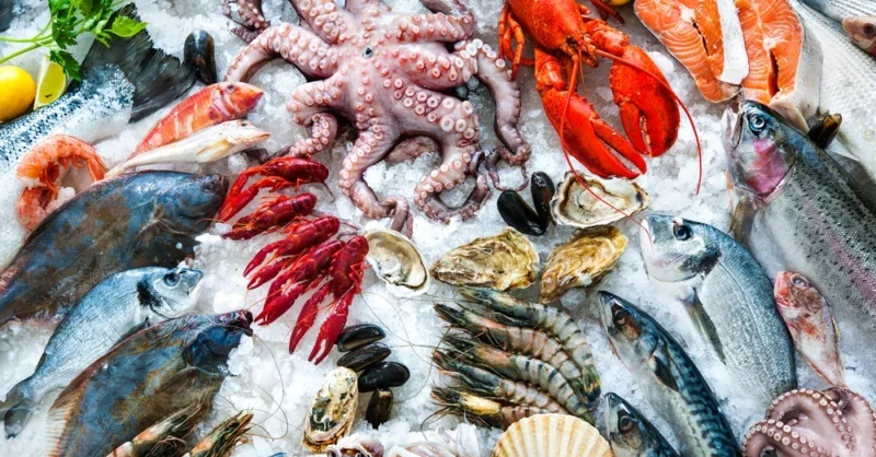 The best wines to pair with fish - Vimarsana News