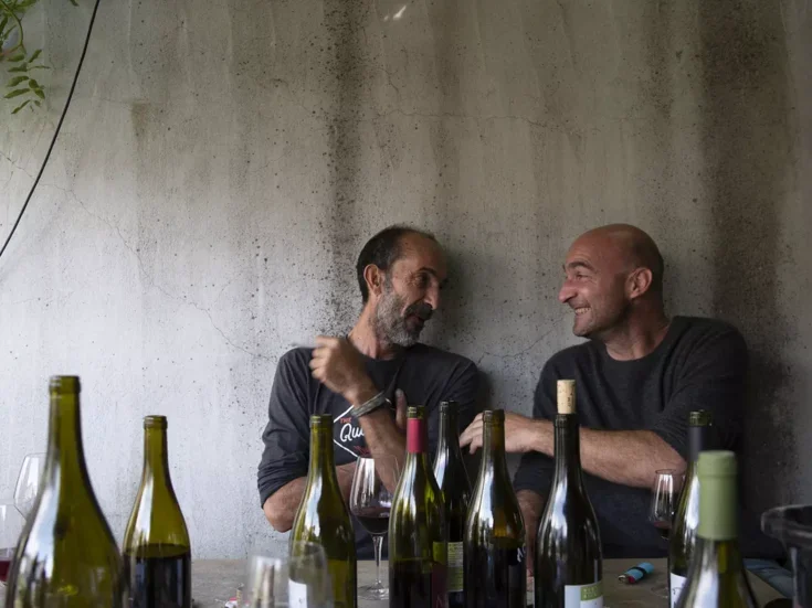 Photo of Stimulating and informative not funky and feral: The natural wine bible