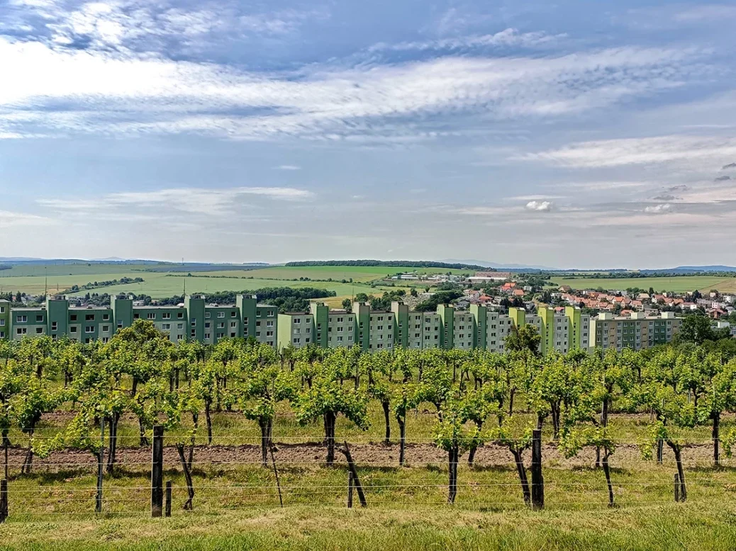 Slovakia vineyards and buildings