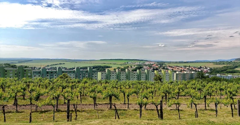 Slovakia: A cool wine region - Vimarsana News