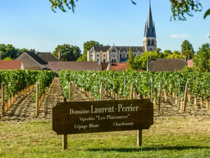 Laurent-Perrier vineyard in Champagne