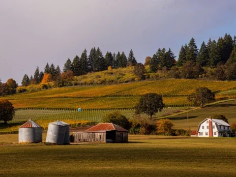 Oregon Chardonnay: Advancing serenely