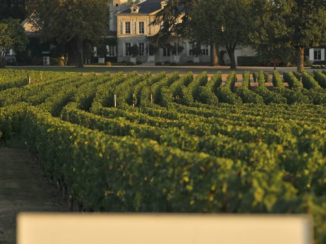 Chateau Cheval Blanc, Saint-emilion, Wine Academy