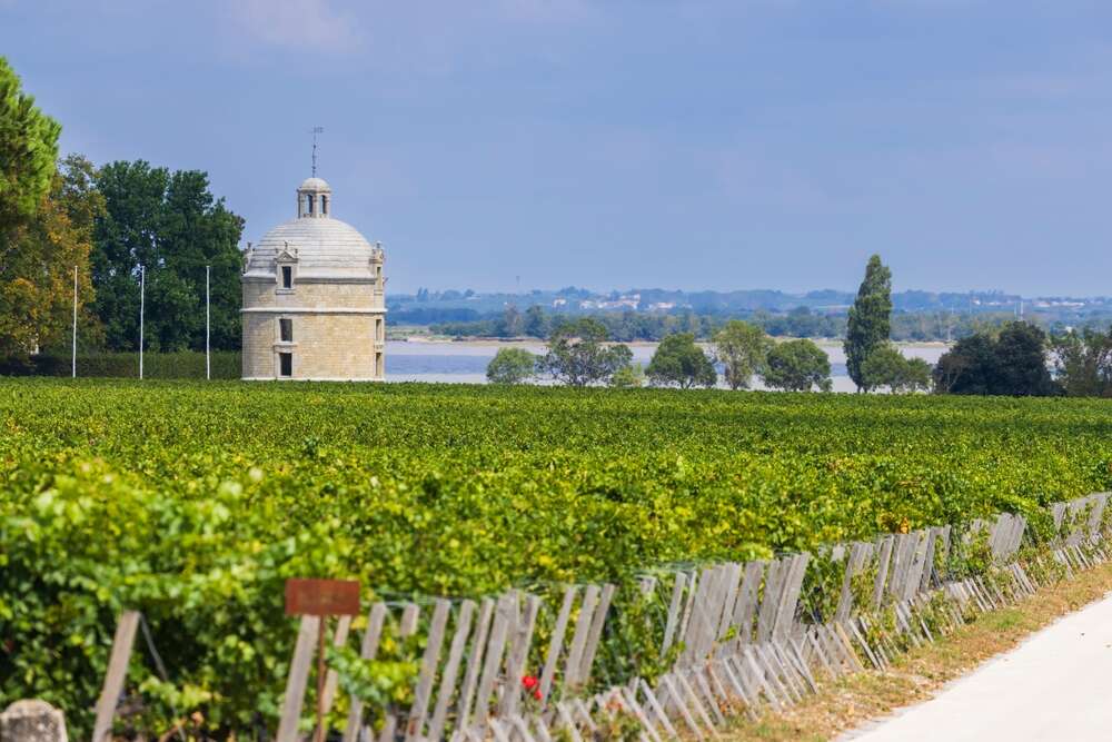 Château Latour, Bordeaux, and vineyards