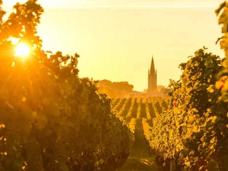 Bordeaux 2022 Field notes: Fear no more the heat o’ the sun