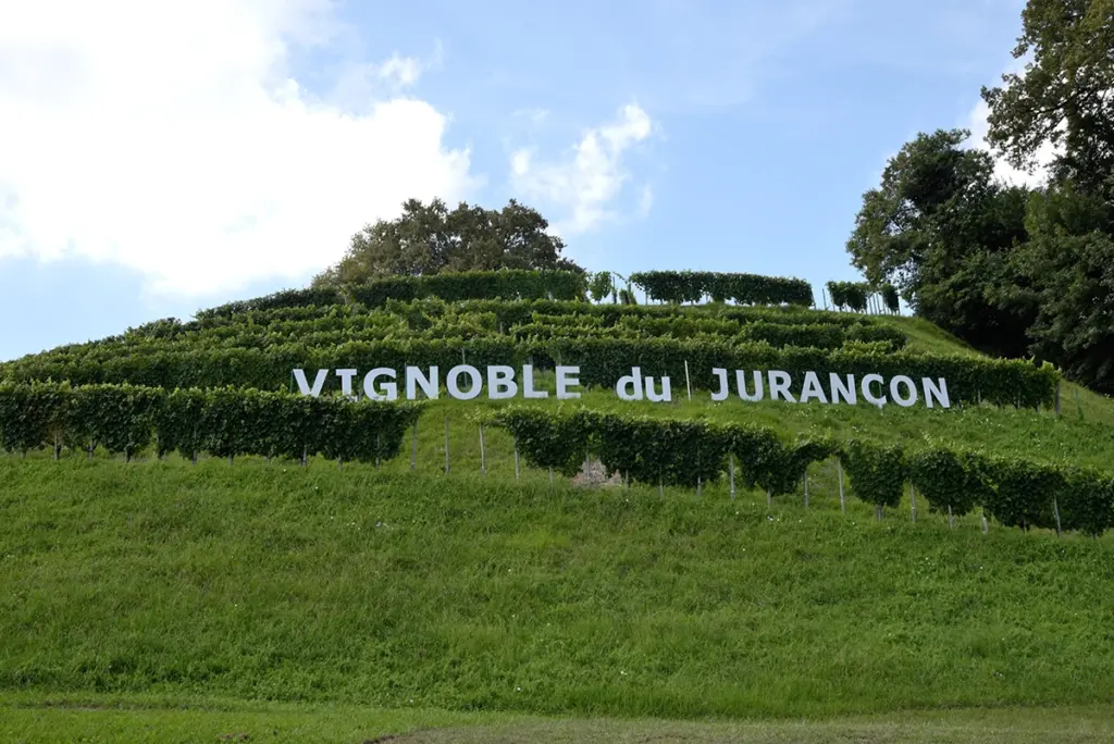 Jurançon vineyard in South West France.