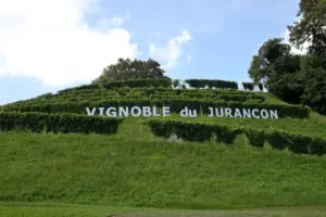 Jurançon vineyard in South West France.