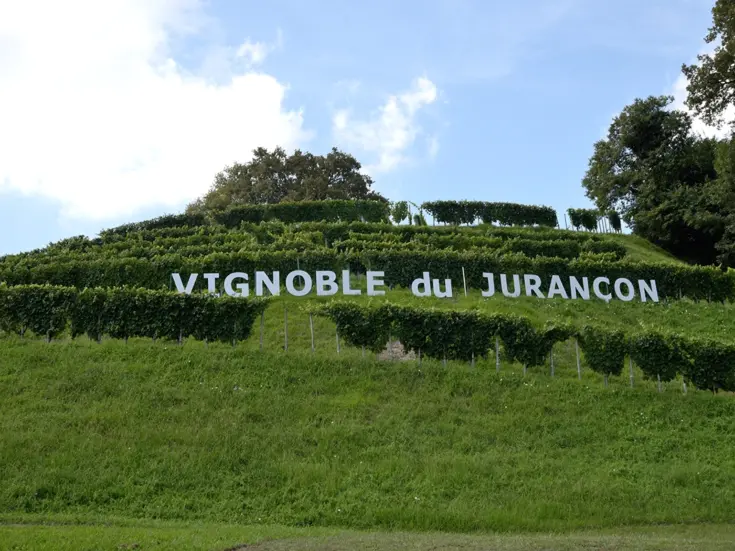 Jurançon and Pacherenc: Countryside force