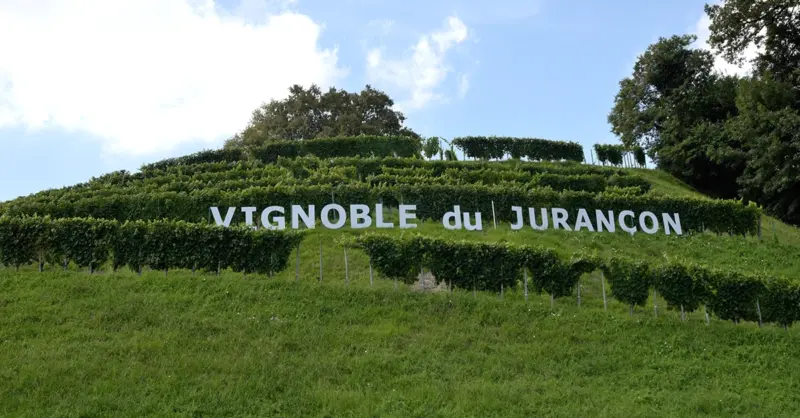 Jurançon and Pacherenc: The best wines - Vimarsana News