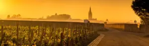 Bordeaux 2022 sunrise St-Emilion