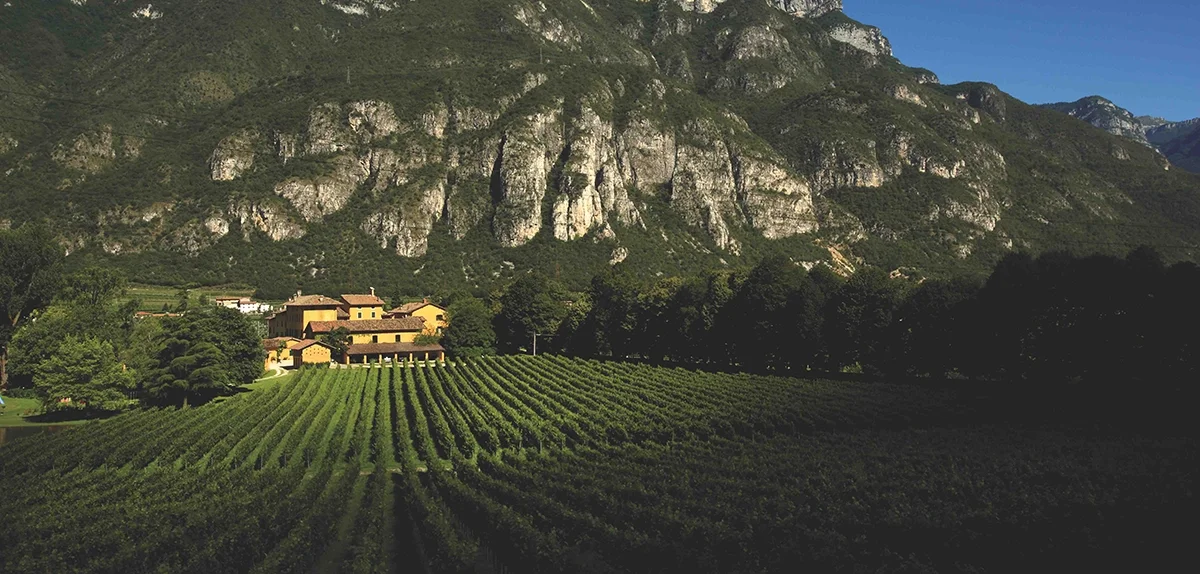 Tenuta San Leonardo 1987–2017: An Italian classic comes of age