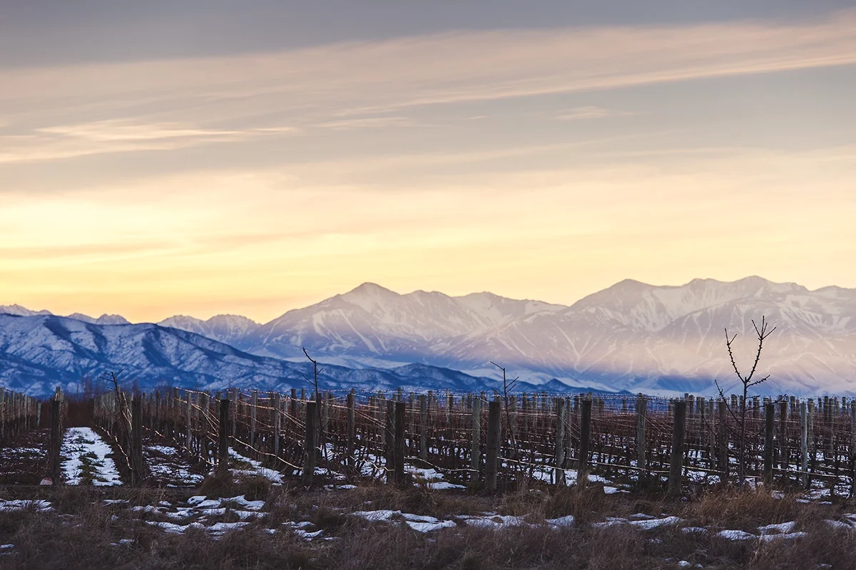 Gualtallary: An Argentinian Pouligny-Montrachet? - Vimarsana News