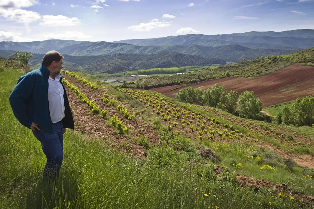 Juan Carlos Sancha with Garnacha vines in Rioja